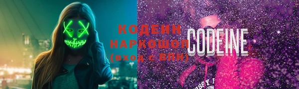 сатива Аркадак