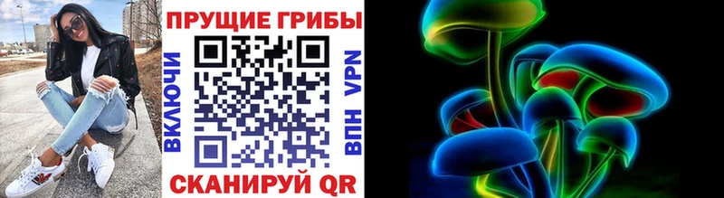 наркошоп  Бор  Галлюциногенные грибы мухоморы 